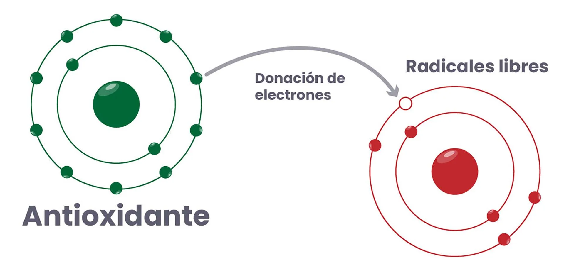 Ejercicio